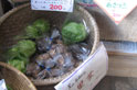 安楽店